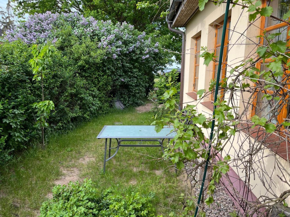 "Villa Seeheim" Ferienobjekt Direkt Am Wasser Ovs 692 Gustow  Buitenkant foto